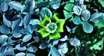 漢字はパーツに分解すれば 格言になる A Barsoのブログ