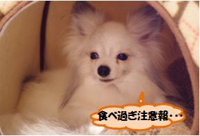 20160307_8.jpg