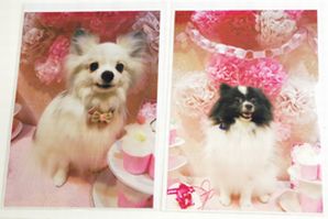 20160309_1.jpg