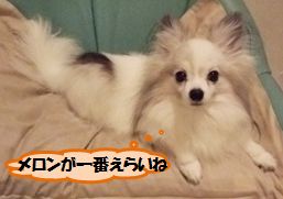 20160319_2.jpg