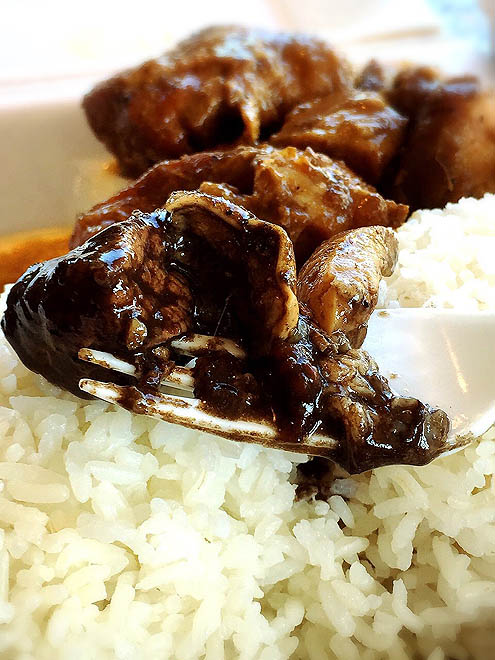 イカめし弁当のかわりのつもり