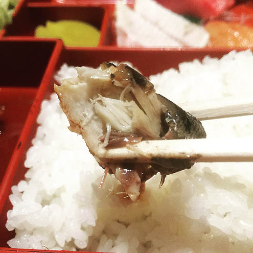 小千谷のお得ランチ弁当ボックス