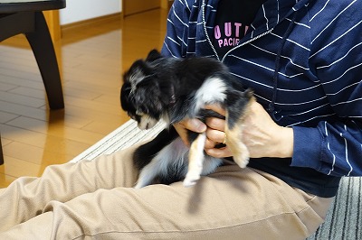 DSC00426.jpg