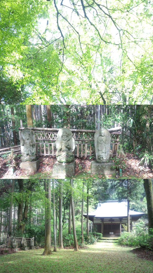 大親寺3_530