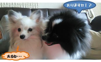 20160415_3.jpg