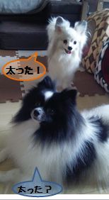 20160518_ms.jpg