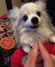 20160531_1.jpg
