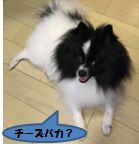20160610_7.jpg
