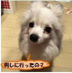 20160610_melon.jpg