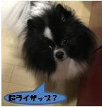 20160612_4.jpg