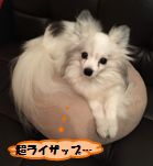 20160612_5.jpg