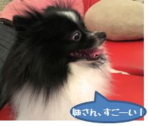 20160620_2.jpg