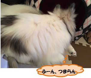 20160623_1.jpg