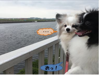 20160727_1.jpg