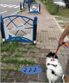20160727_2.jpg