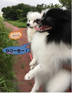 201607_tsubasa_ms.jpg