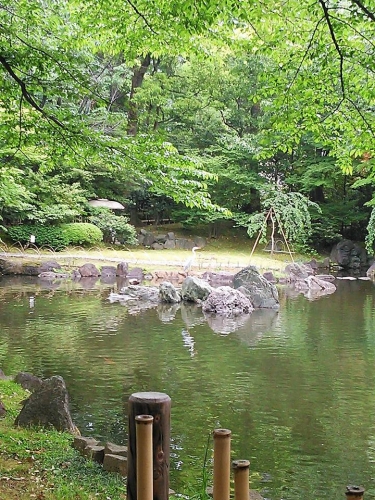 20160502sagi1.jpg