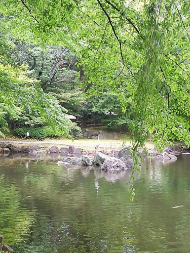 20160502sagi2.jpg
