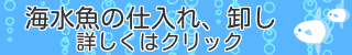 海水魚仕入れ