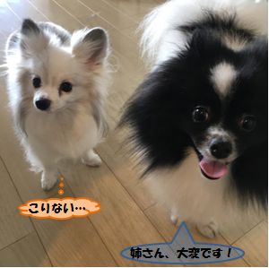 20160803_ms_1.jpg