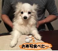 20160803_ms_2.jpg