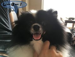 20160803_ms_3.jpg