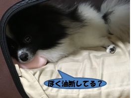 20160922_2.jpg
