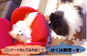 20161019_1.jpg