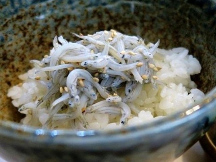 16-10-11　しらすあぷ