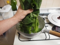 ささみとほうれん草のごま和えt31