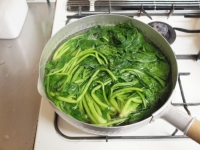 ささみとほうれん草のごま和えt32