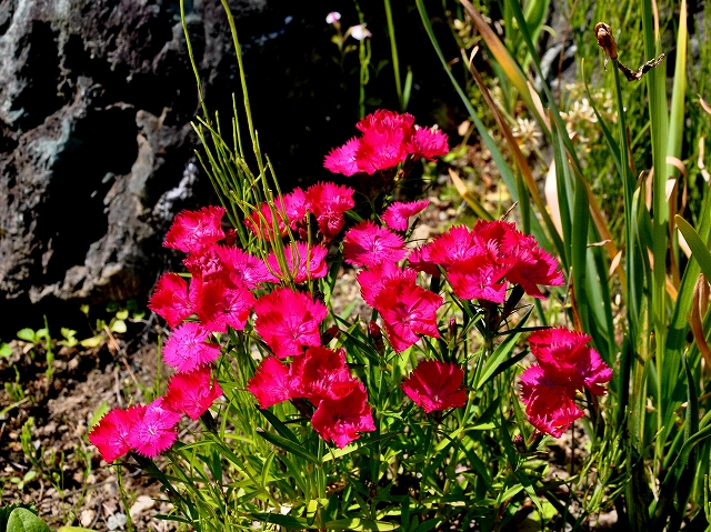 2016-06-04-0006.jpg