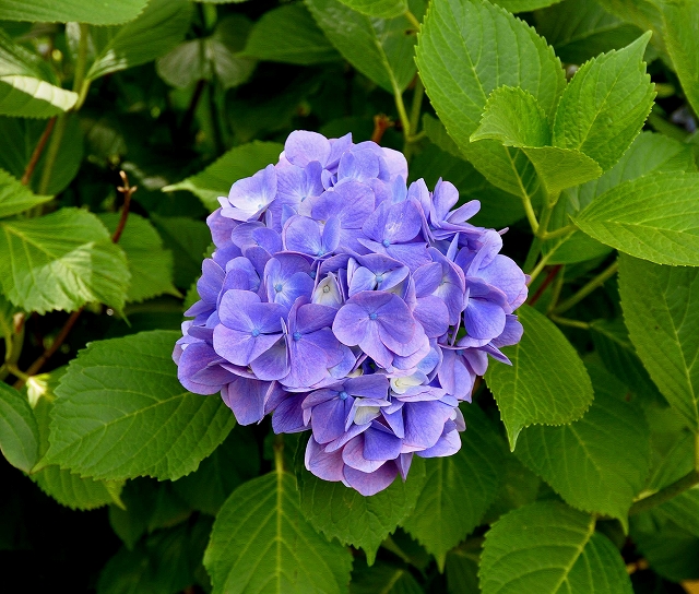 2016-07-10-0001.jpg