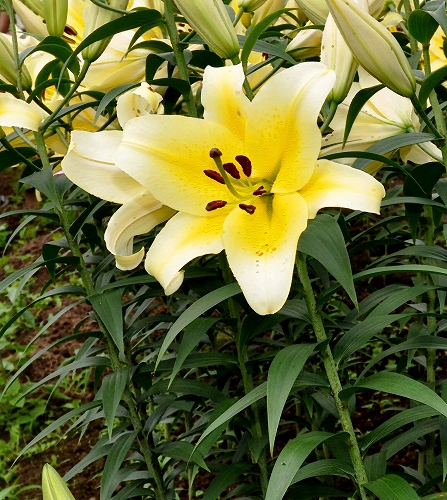 2016-07-19-0001.jpg