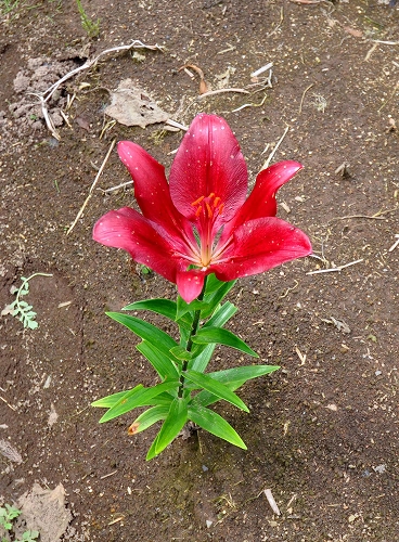 2016-07-24-0001.jpg