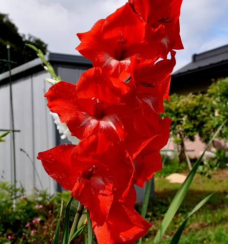 2016-08-03-0003.jpg