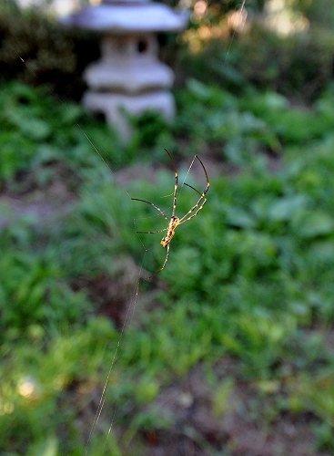 2016-08-12-0001.jpg