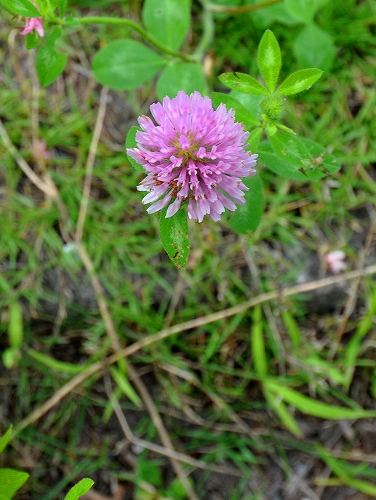 2016-08-13-0001.jpg
