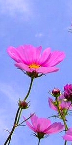 2016-08-27-0006.jpg