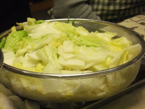 DSCF7163 (480x360)