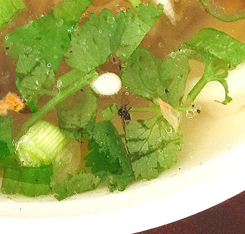 本当にあったオチョチ～話@不音日