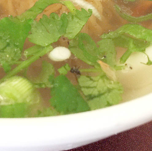 本当にあったオチョチ～話@不音日