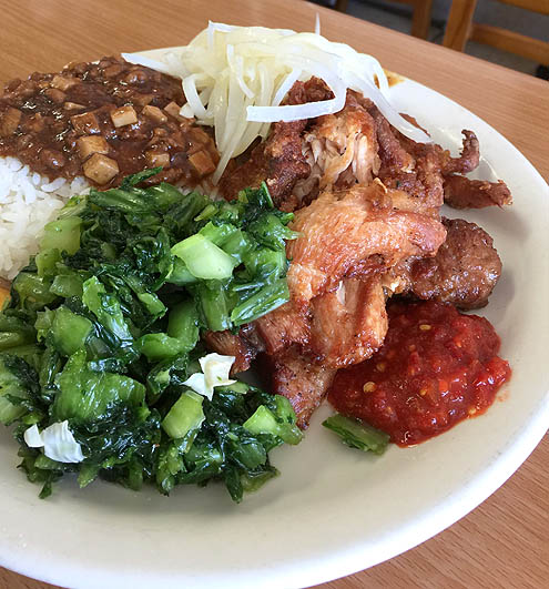 排鶏飯vs排骨飯どっち