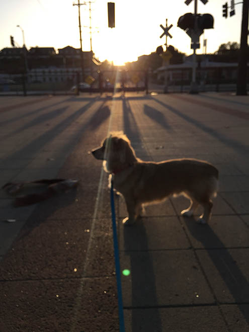 アイランドバーガー行ったワケ