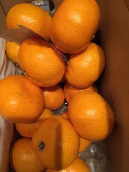 IMG_2393.jpg