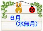 ６月の
