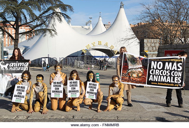 circus3_20160418222433c27.jpg