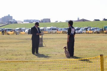 DSC_0015_20161106180711617.jpg