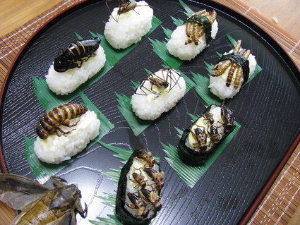 虫 食べられますか グロ画像注意 怖い話します 選集