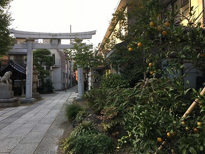 s-IMG_5464.jpg